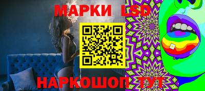 стафф Кингисепп
