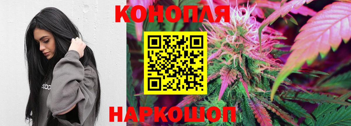 Конопля AK-47 Канск